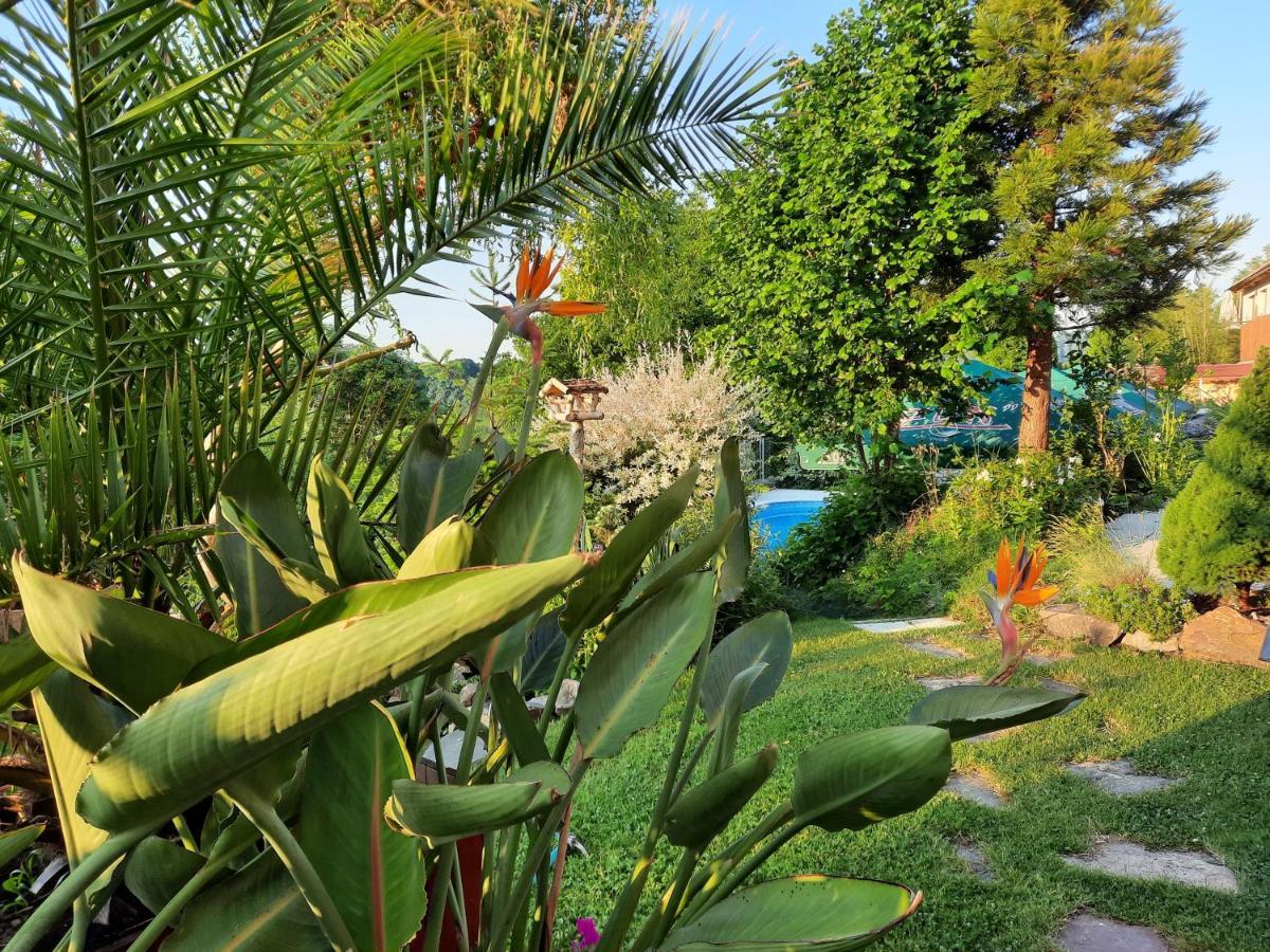 Penzion Zahrada Nad Rekou, Restaurace A Kavarna - Parkovani Gratis Zlatá Koruna Exterior foto