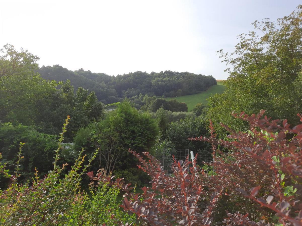 Penzion Zahrada Nad Rekou, Restaurace A Kavarna - Parkovani Gratis Zlatá Koruna Exterior foto